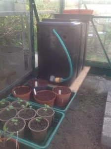 Enhancing the greenhouse